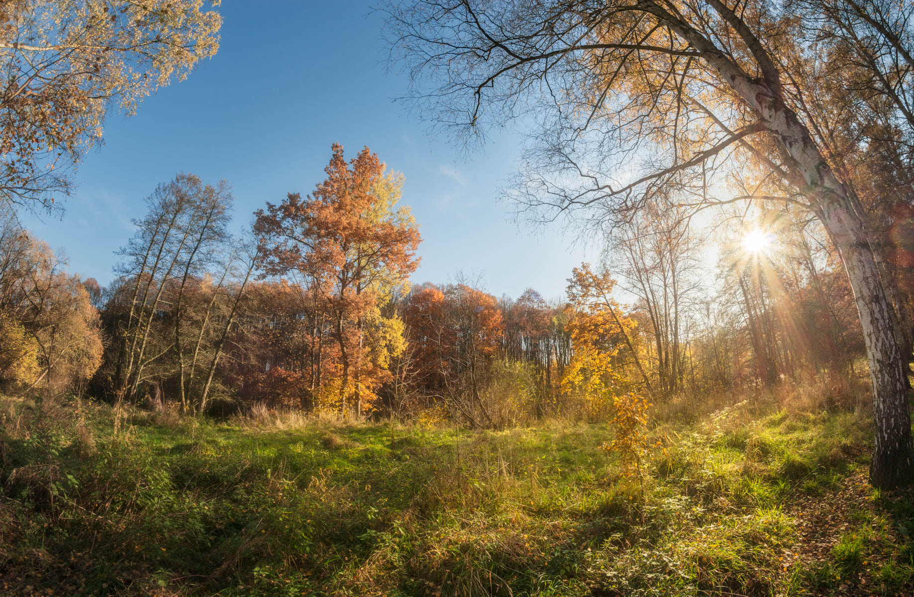 Samyang 12mm F2.8 ED AS NCS Fisheye sample photo. Mother nature photography