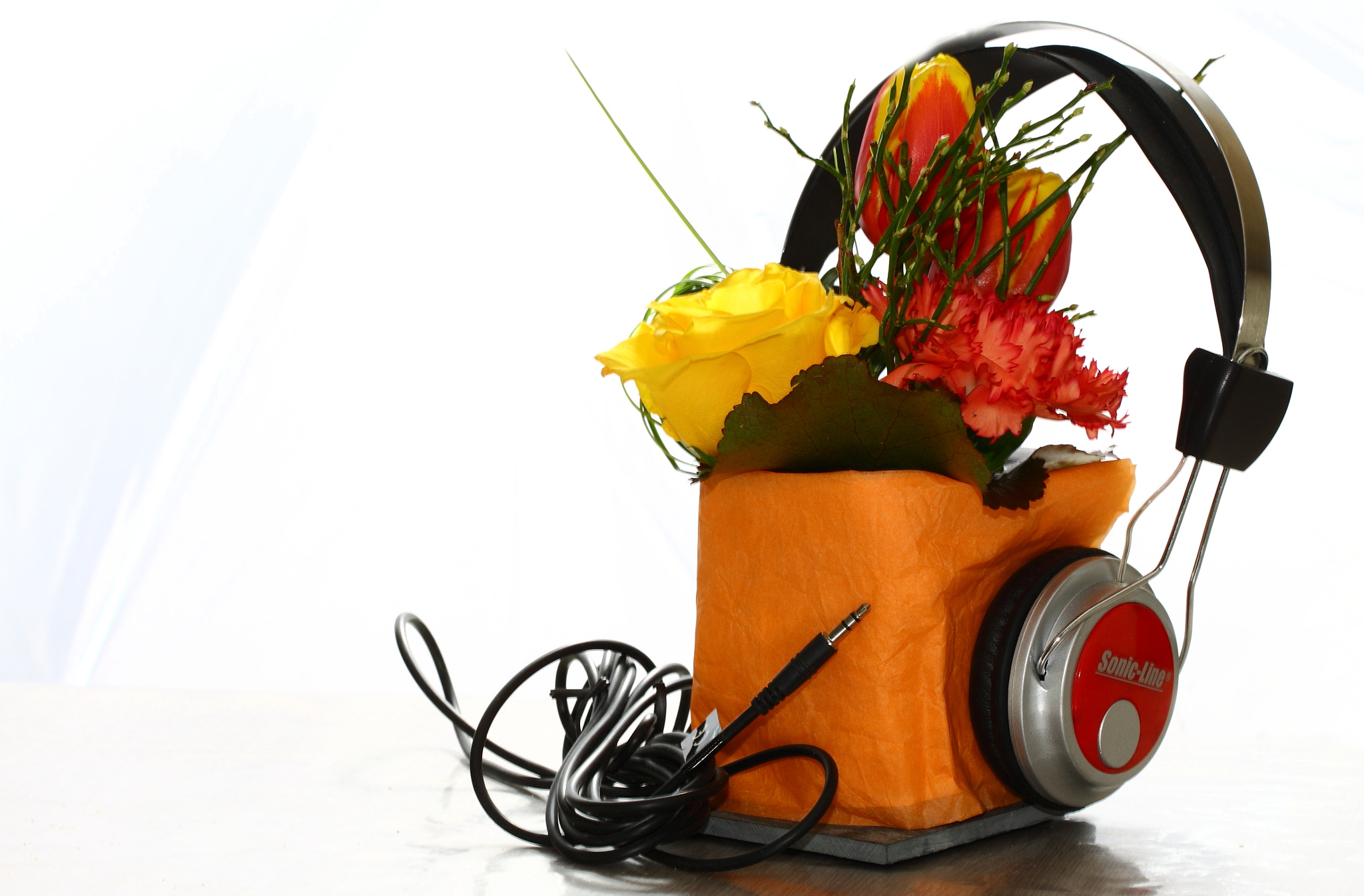 Canon EF 100mm F2.8L Macro IS USM sample photo. Les fleurs nous parlent, écoutons les !! photography