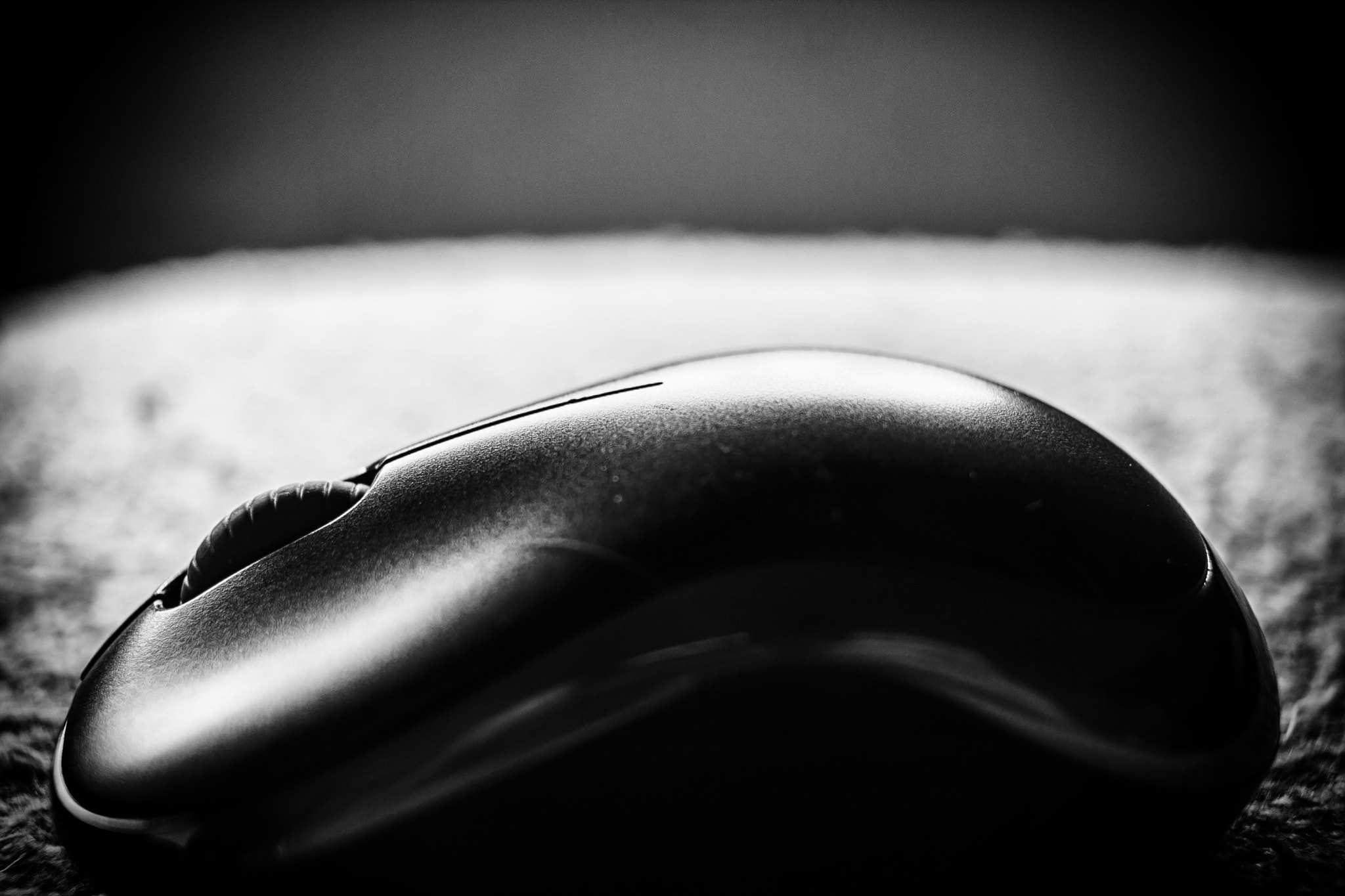 Canon EF-S 24mm F2.8 STM sample photo. Murine photography