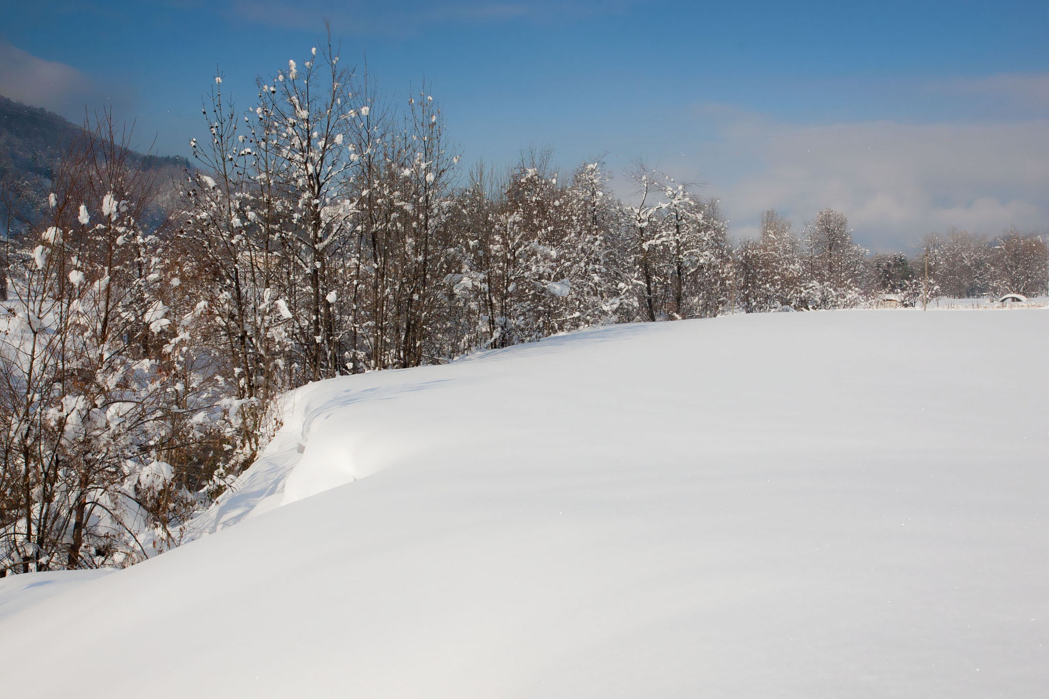 Canon EOS 30D + Canon EF-S 17-55mm F2.8 IS USM sample photo. Snow &amp; blue sky photography