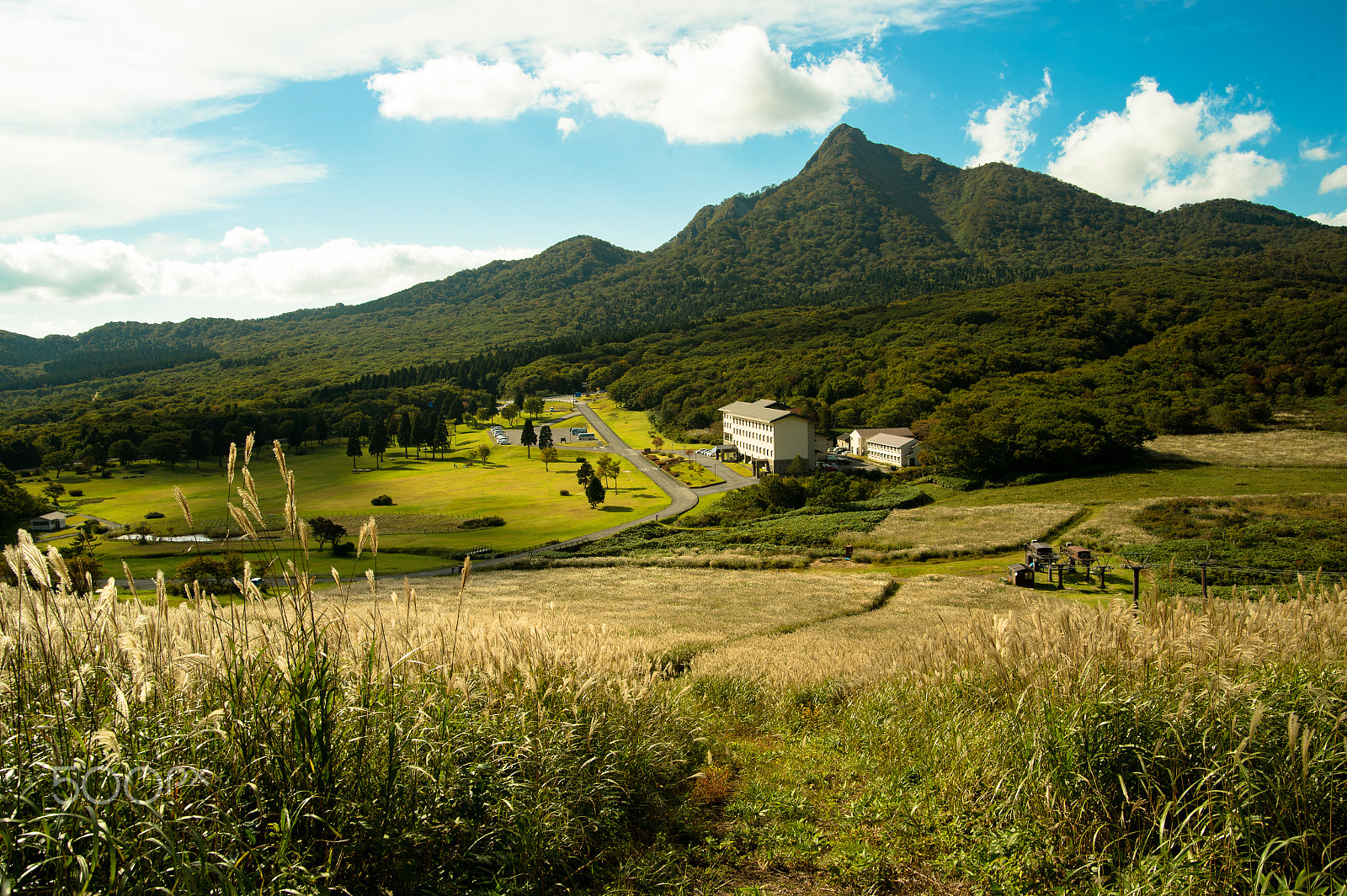 Nikon Df sample photo. Autumn field. photography