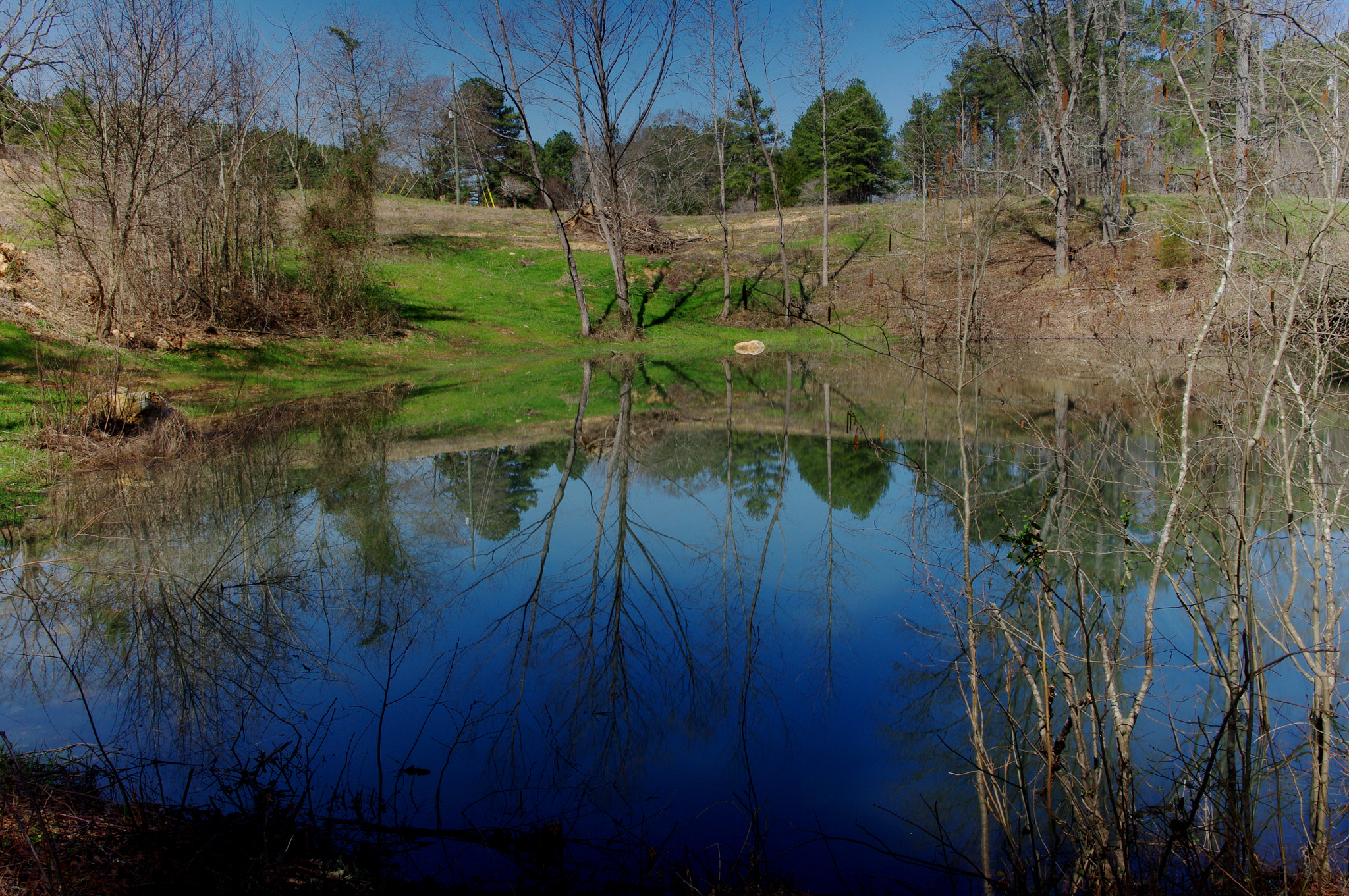 Pentax K20D + Sigma 17-50mm F2.8 EX DC HSM sample photo. The pond photography