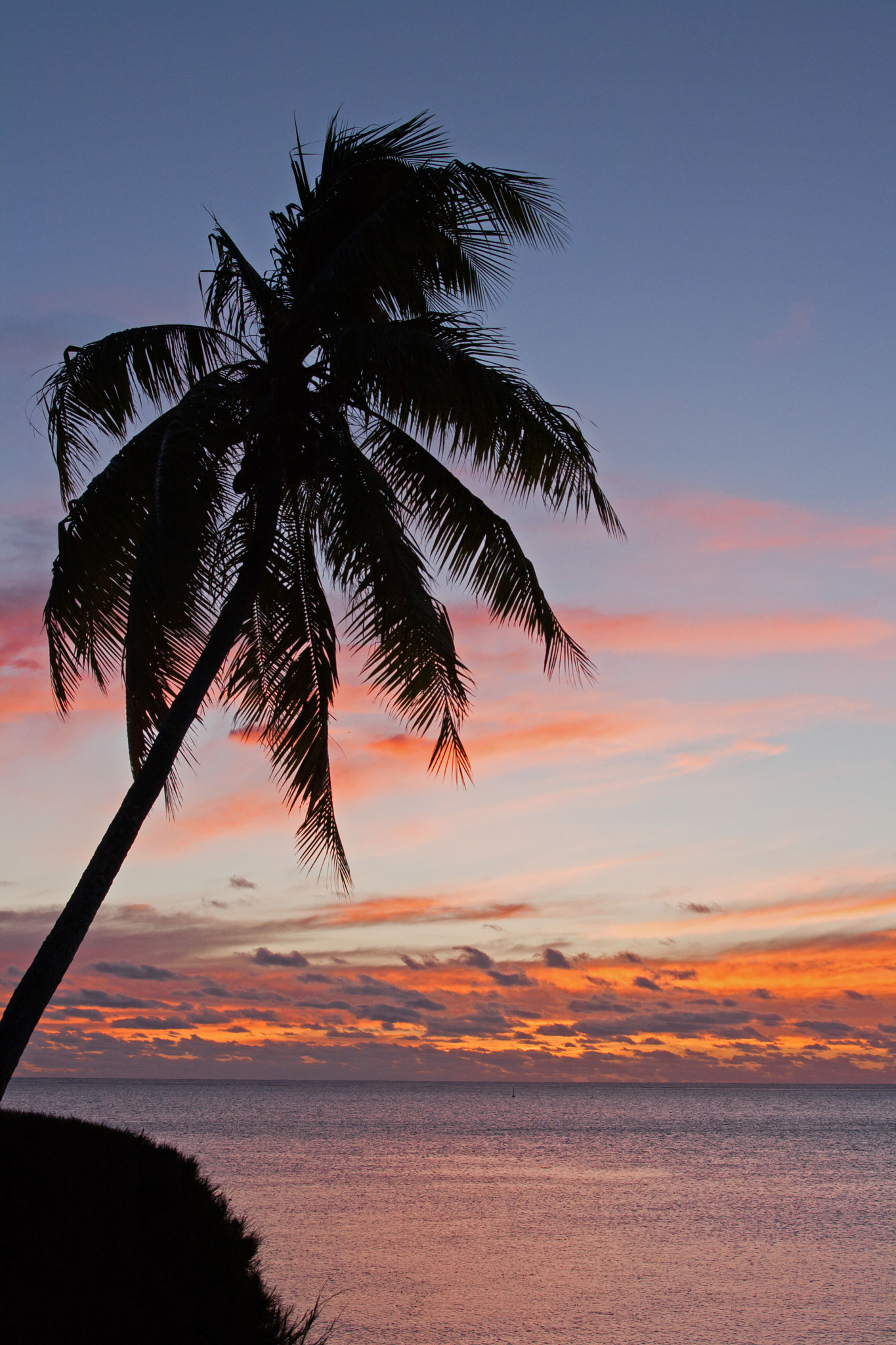 Canon EF 28-105mm f/3.5-4.5 USM sample photo. Moorea sunset photography