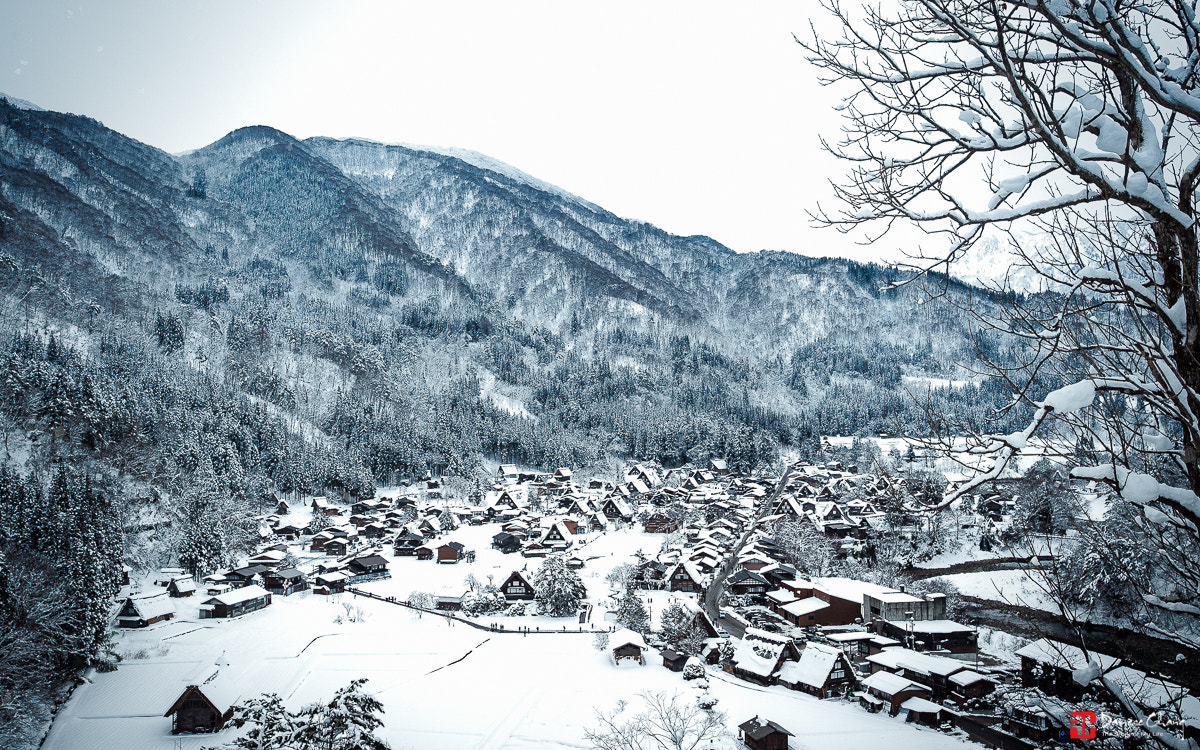 Nikon AF-S Nikkor 18-35mm F3.5-4.5G ED sample photo. 編輯 photography