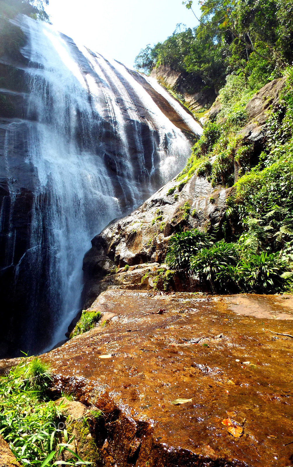 Fujifilm FinePix S8400W sample photo. Waterfall in the rainforest photography