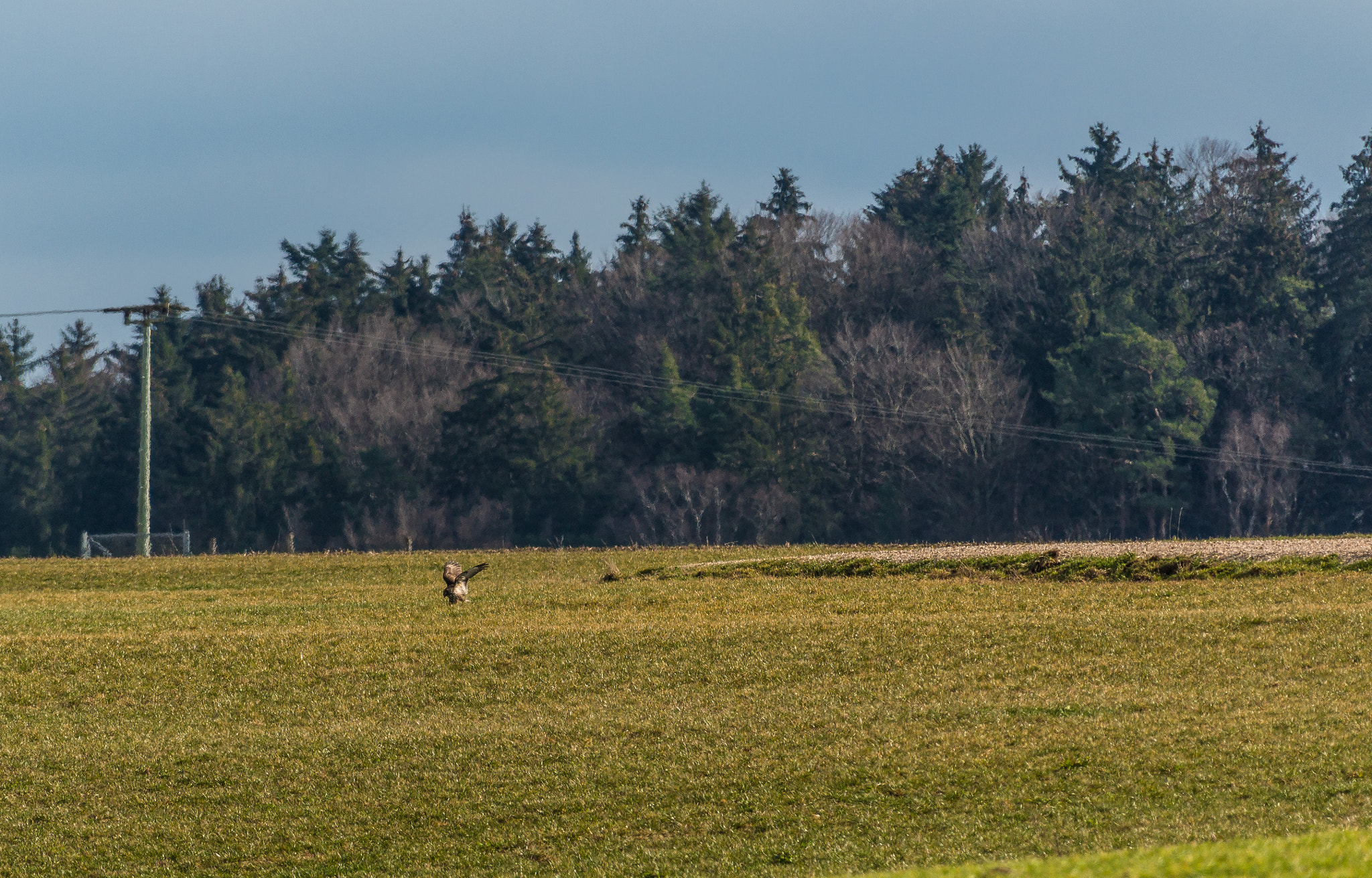 Canon EF 28-300mm F3.5-5.6L IS USM sample photo. Catchandcarry photography