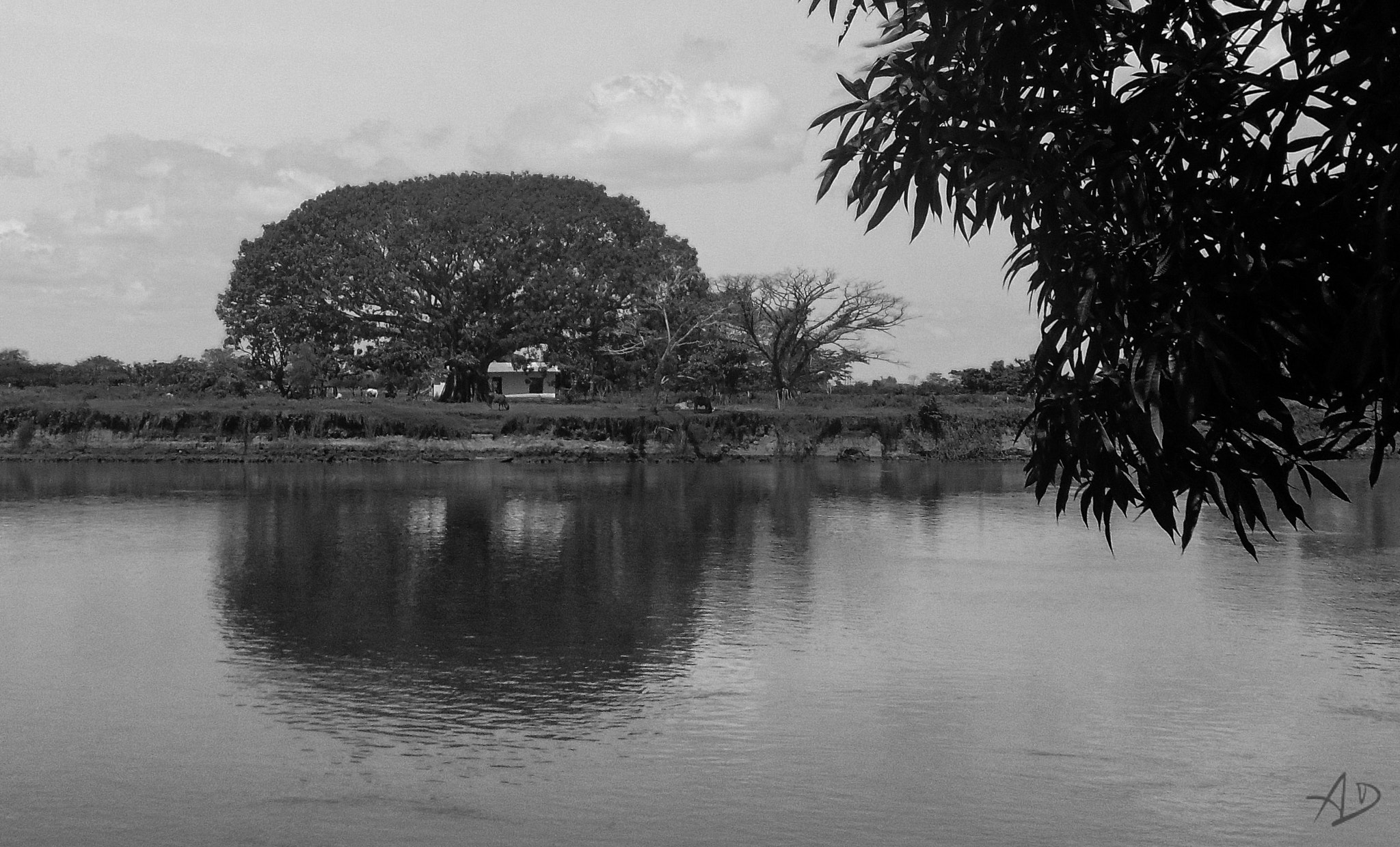 Samsung ES28 / VLUU ES28 sample photo. Riverside photography