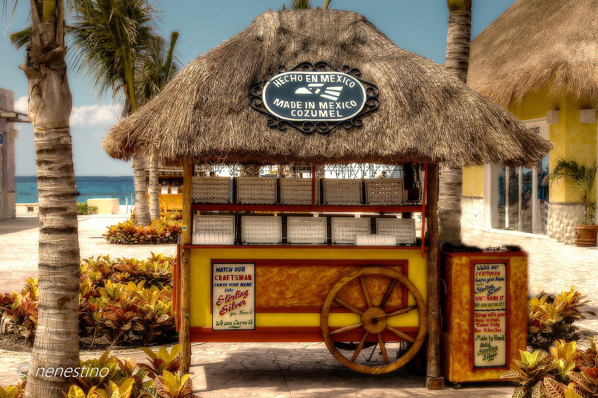 AF Zoom-Nikkor 24-120mm f/3.5-5.6D IF sample photo. Cozumel photography