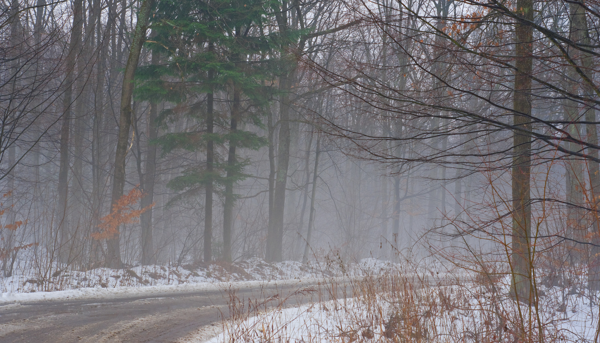 Pentax K-x + A Series Lens sample photo. Slush on the road in the winter forest photography