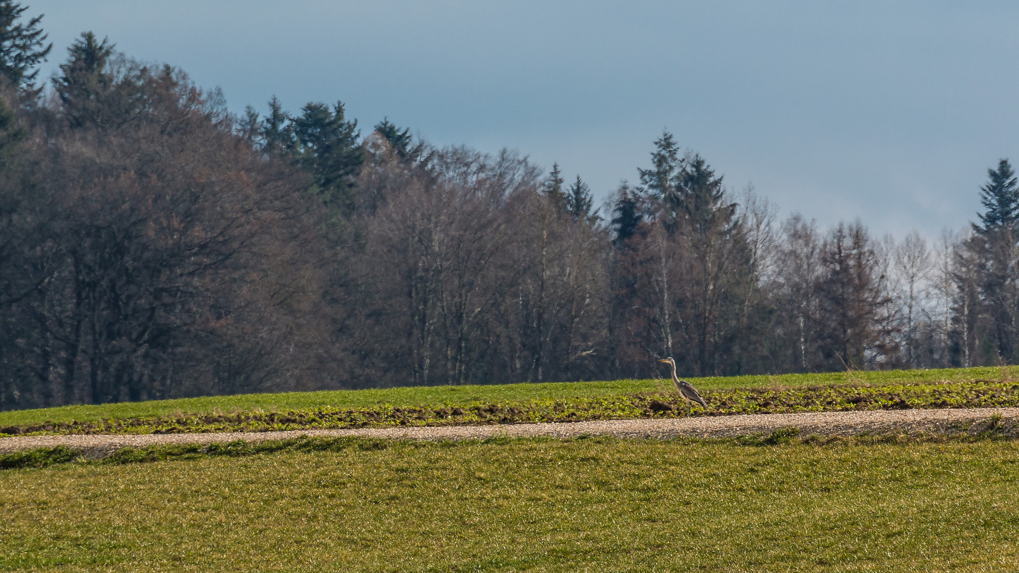 Canon EF 28-300mm F3.5-5.6L IS USM sample photo. Bayern photography