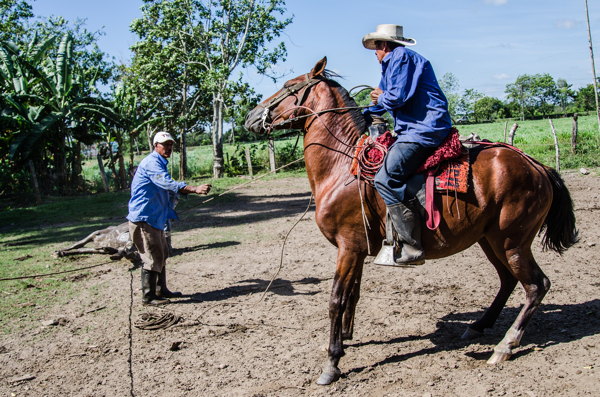 Nikon D7000 + Sigma 24-105mm F4 DG OS HSM Art sample photo. Photo by: raul a. torres ajiaco (https://www.flickr.com/photos/ratorres/) photography