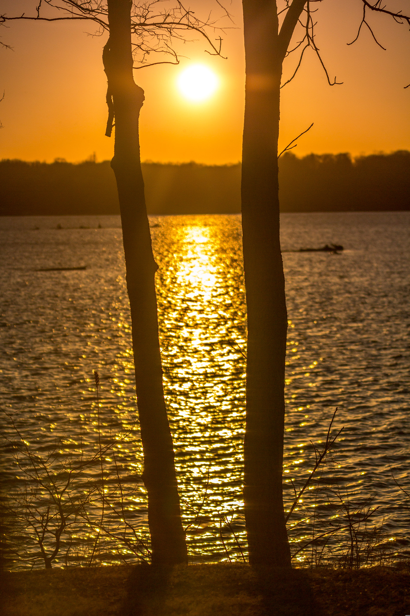 Sigma 70-200mm F2.8 EX DG OS HSM sample photo. Peaceful evening.jpg photography