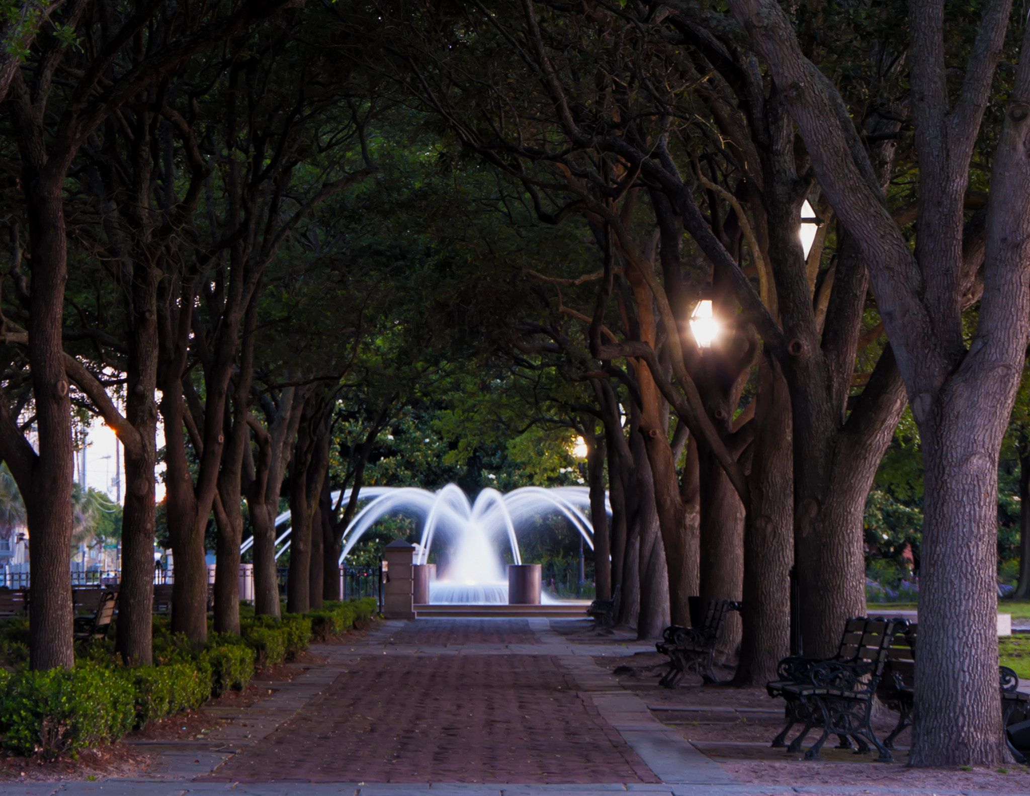 Sigma 18-250mm F3.5-6.3 DC OS HSM sample photo