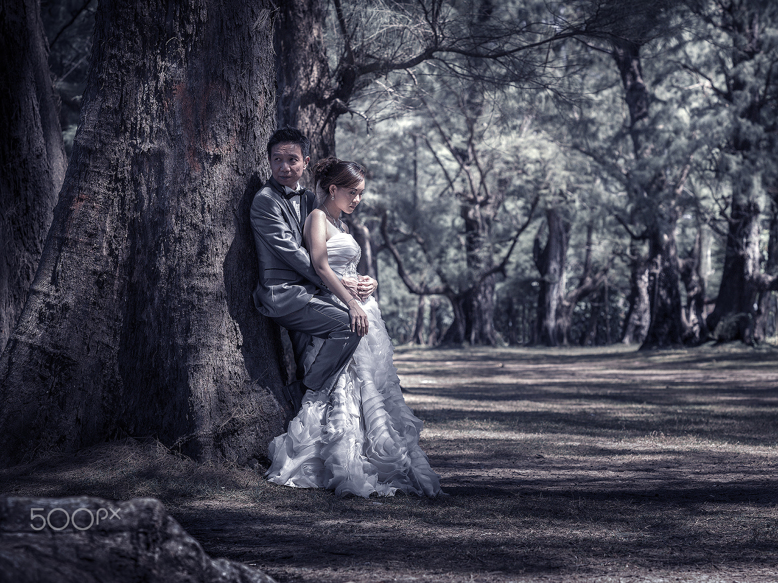 HC 150N sample photo. Pre-wedding in phuket photography
