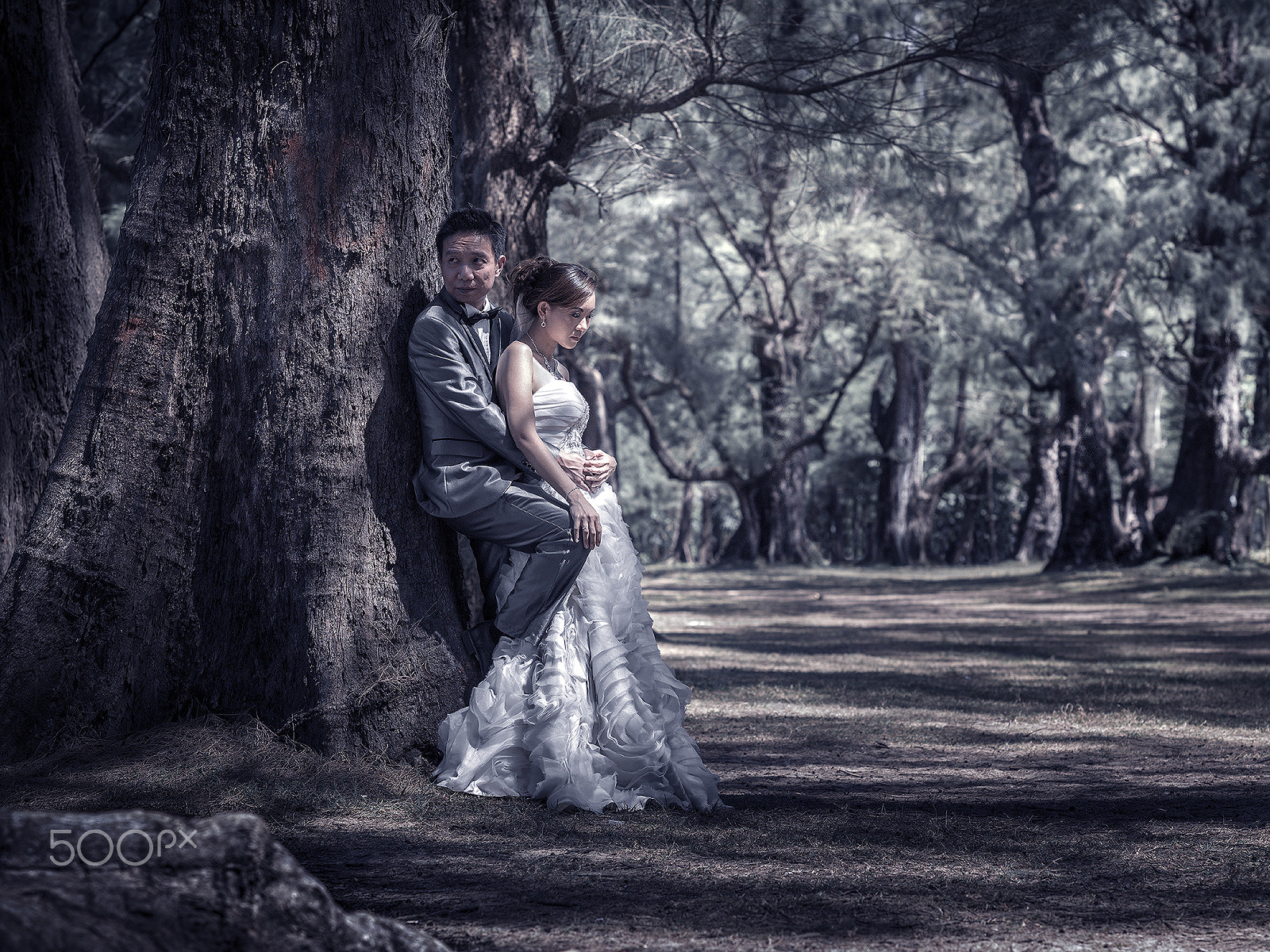 Hasselblad H5D + HC 150N sample photo. Pre-wedding in phuket photography