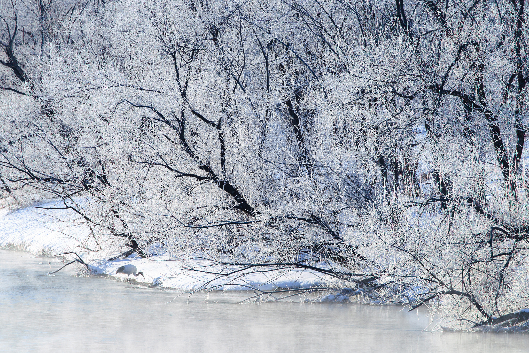 Canon EF 100-400mm F4.5-5.6L IS II USM sample photo. Frigid morning photography