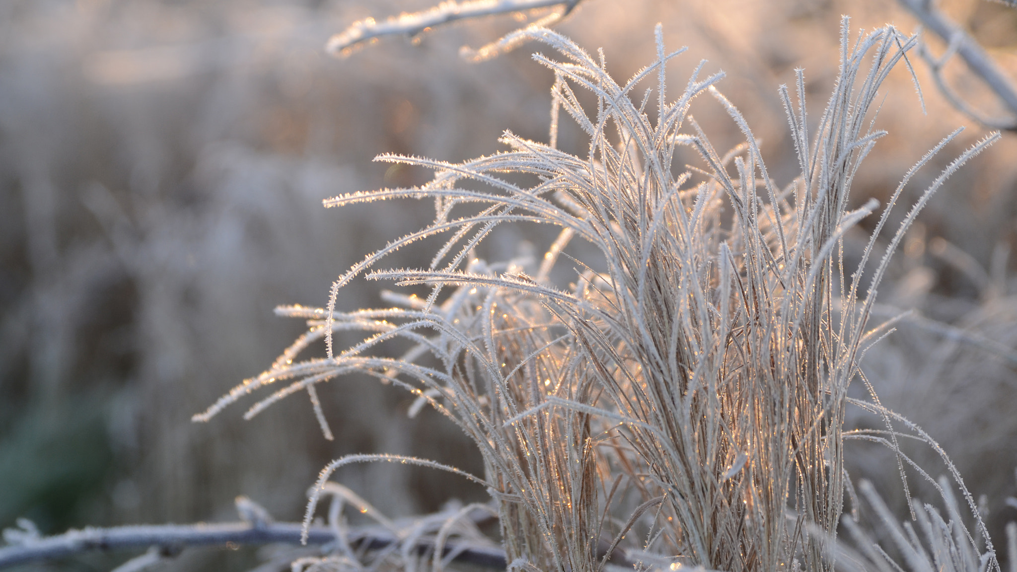 Tamron SP 24-70mm F2.8 Di VC USD sample photo. Cold sunrise 1 photography