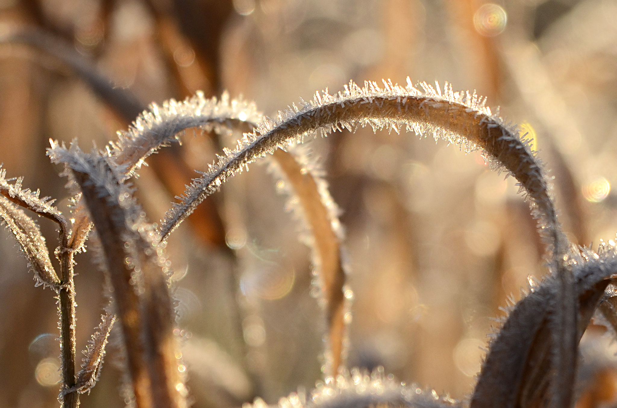 Tamron SP 24-70mm F2.8 Di VC USD sample photo. Cold sunrise 3 photography