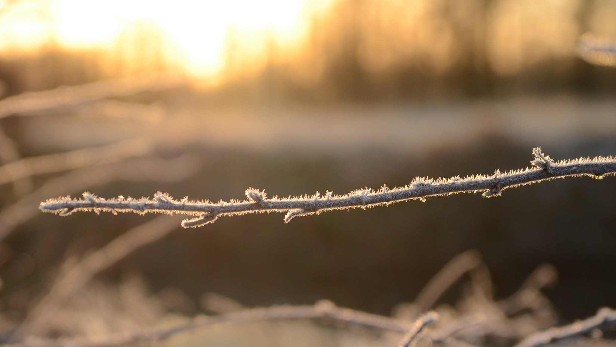 Tamron SP 24-70mm F2.8 Di VC USD sample photo. Cold sunrise 2 photography