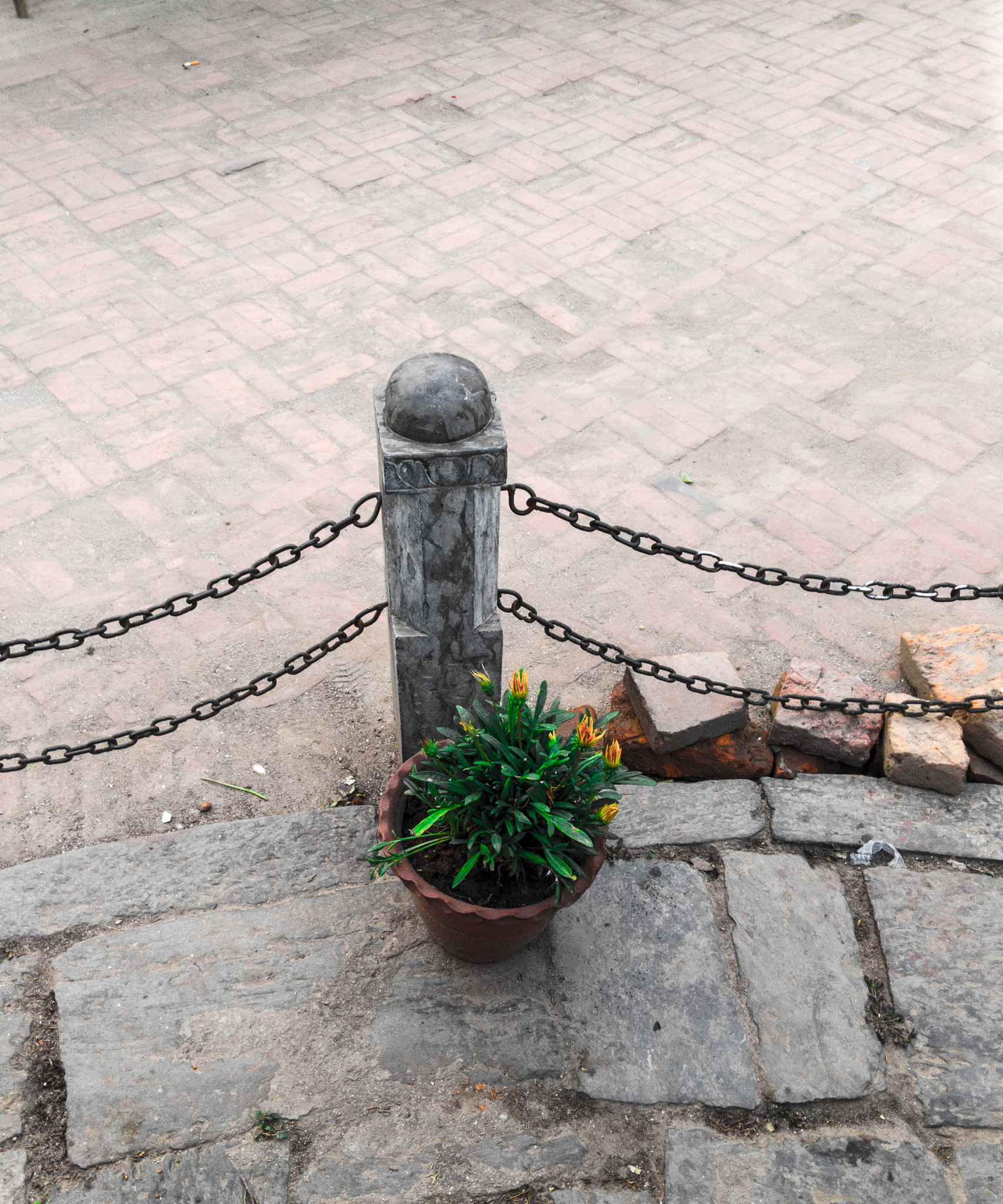 OnePlus One A0001 sample photo. #lvdivine photography