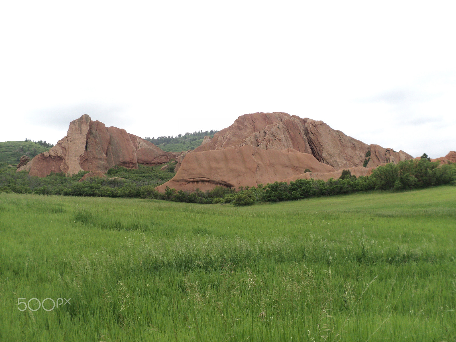 Sony DSC-S2100 sample photo. Roxborough state park photography