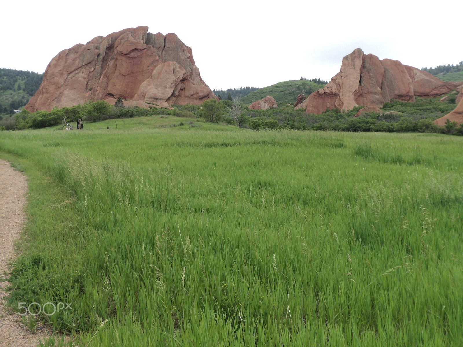 Sony DSC-S2100 sample photo. Roxborough state park photography