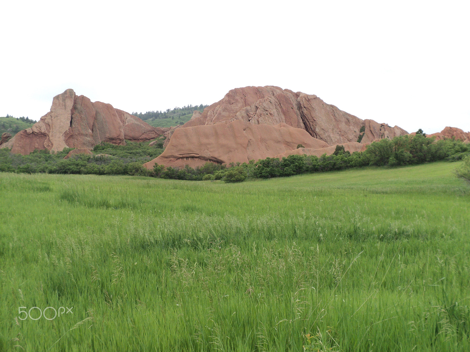 Sony DSC-S2100 sample photo. Roxborough state park photography