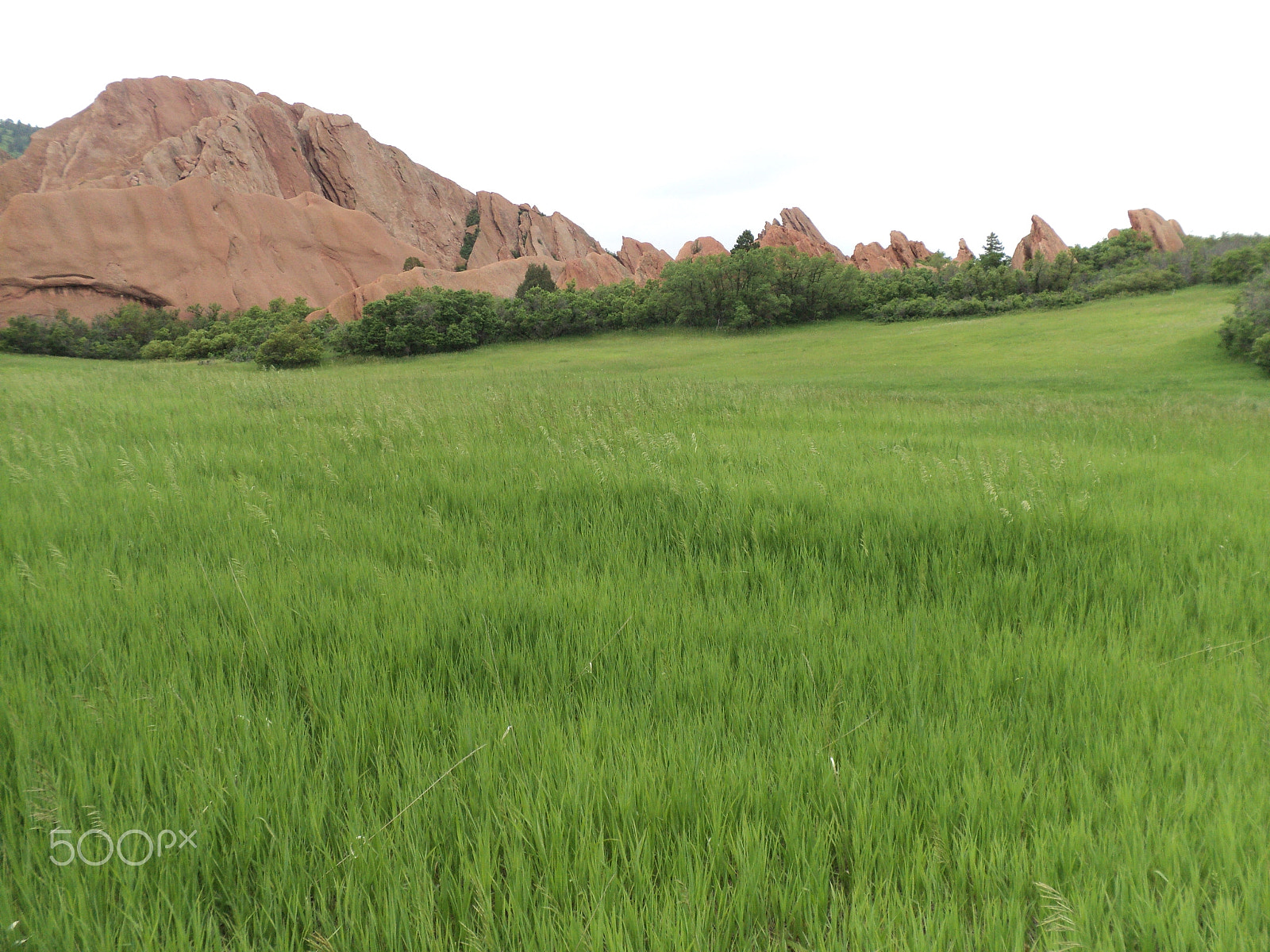 Sony DSC-S2100 sample photo. Roxborough state park photography