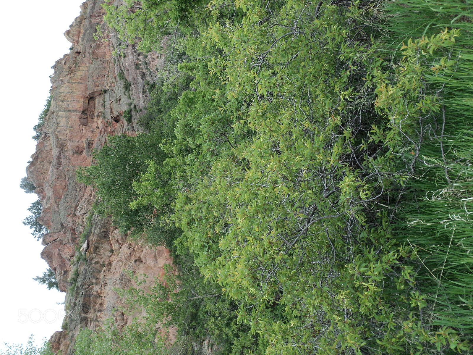 Sony DSC-S2100 sample photo. Roxborough state park photography