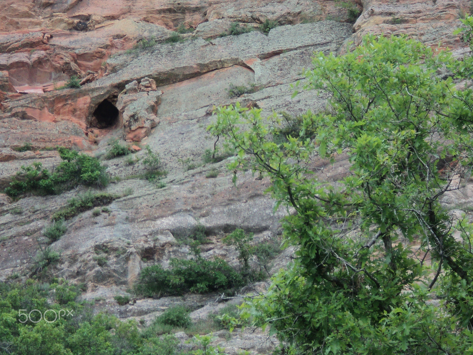 Sony DSC-S2100 sample photo. Roxborough state park photography