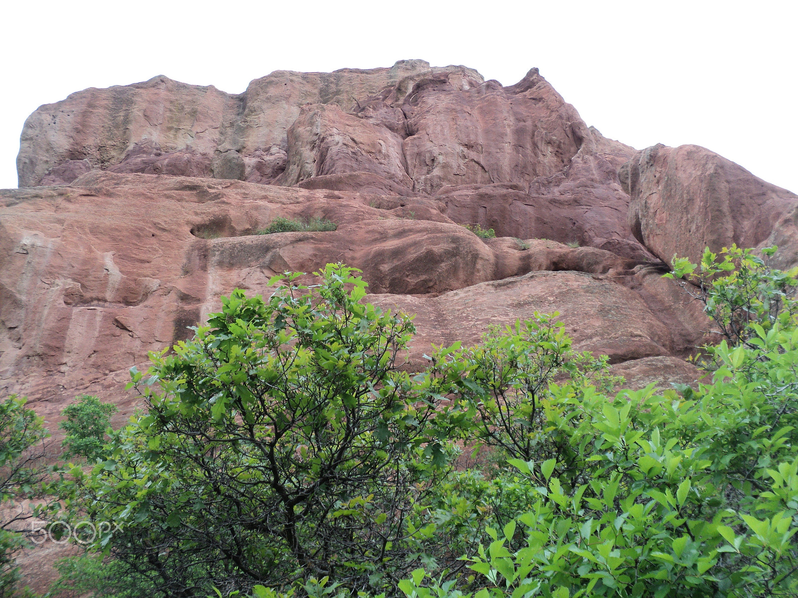 Sony DSC-S2100 sample photo. Roxborough state park photography