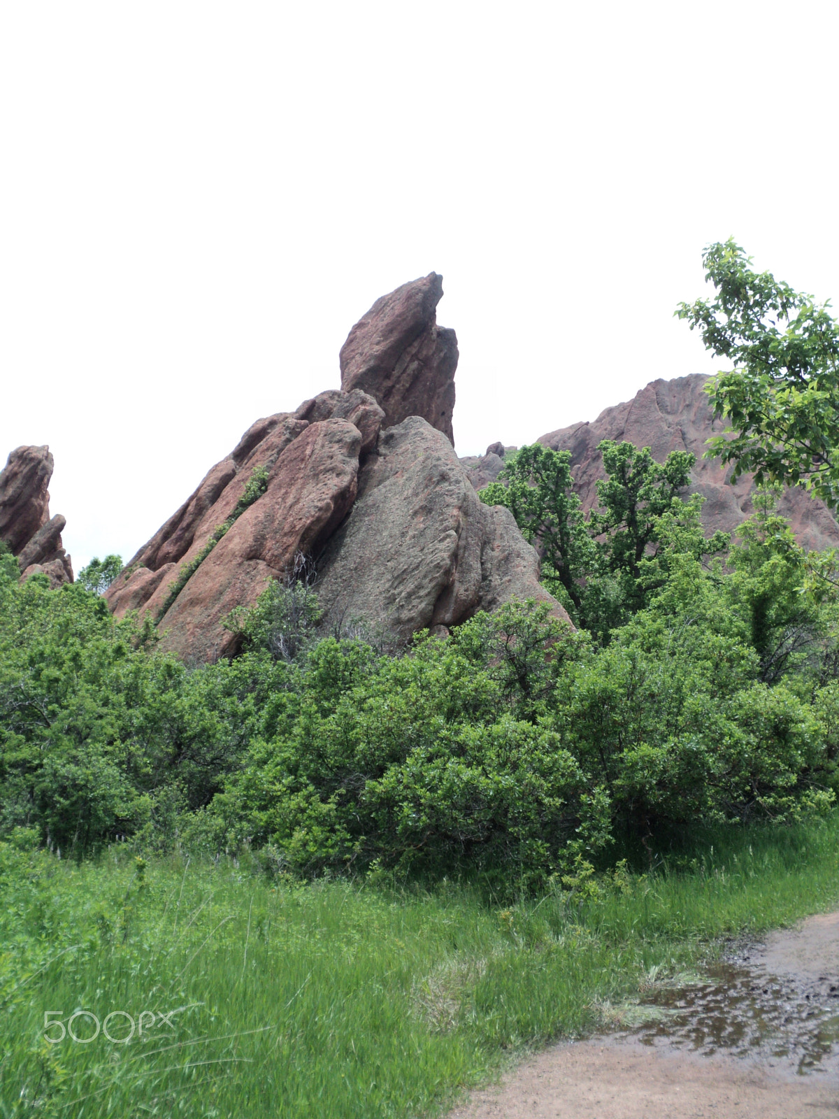 Sony DSC-S2100 sample photo. Roxborough state park photography