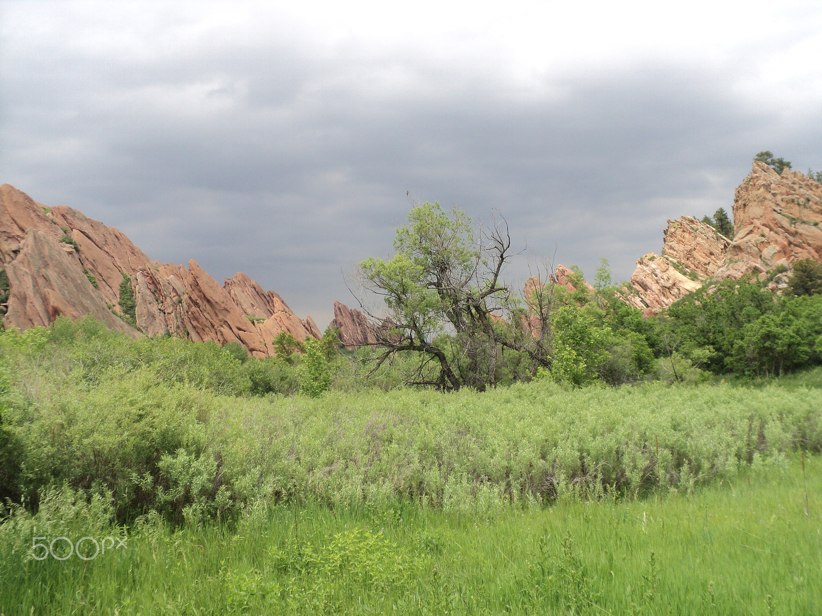 Sony DSC-S2100 sample photo. Roxborough state park photography