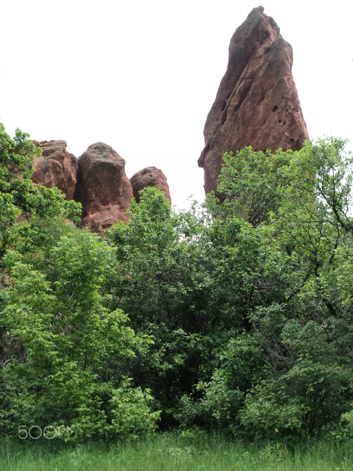 Sony DSC-S2100 sample photo. Roxborough state park photography