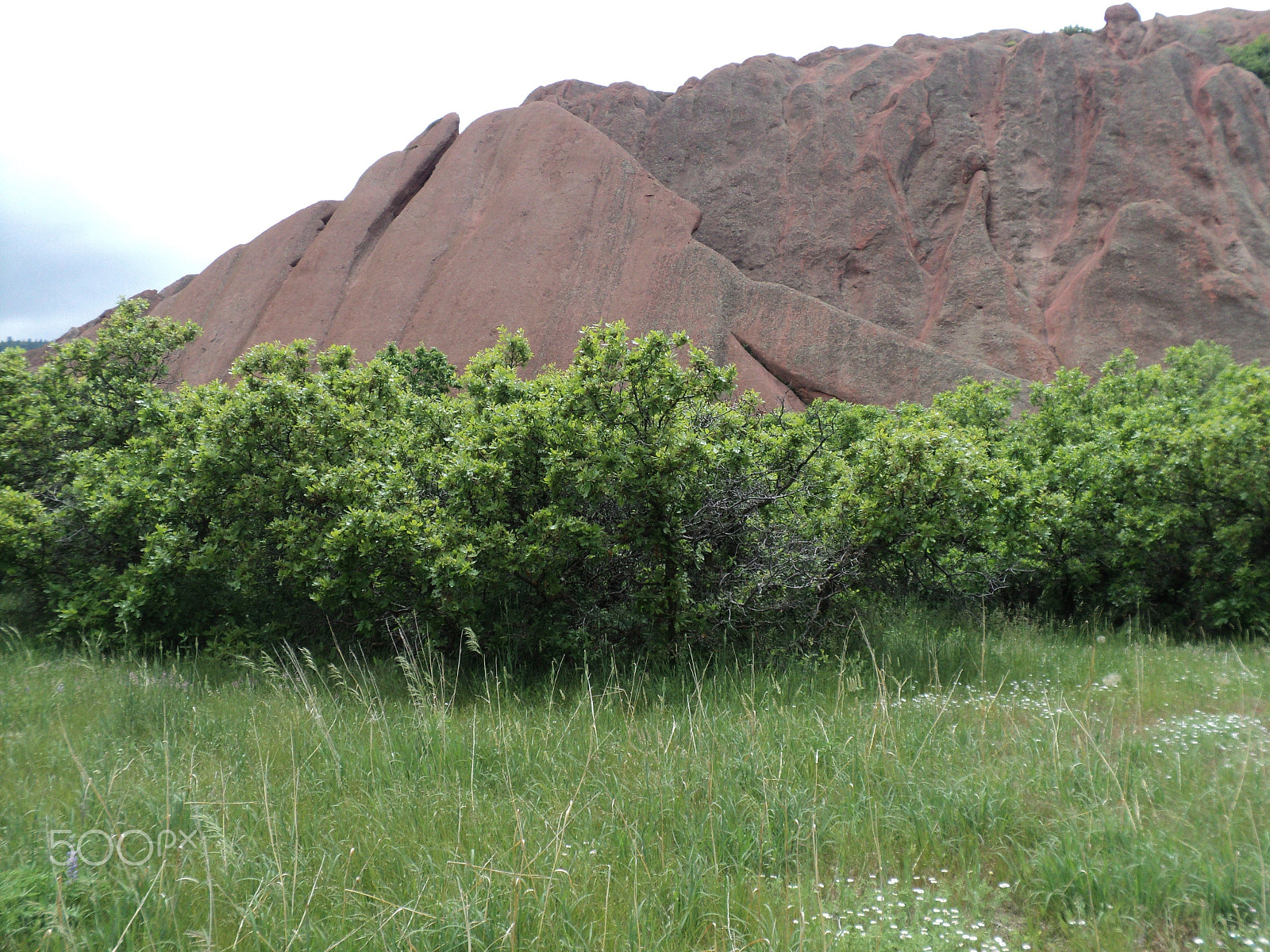 Sony DSC-S2100 sample photo. Roxborough state park photography