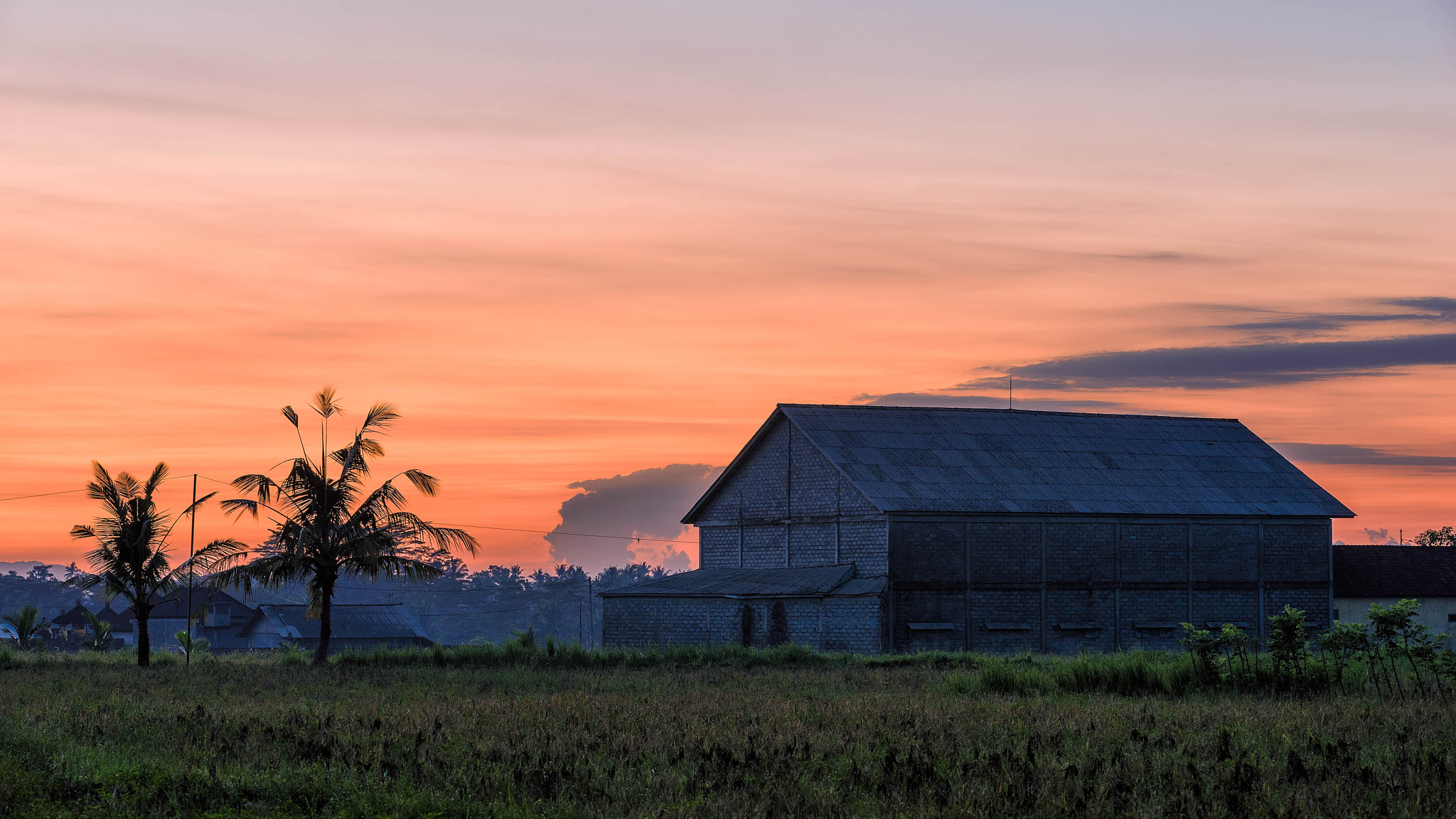 Canon EF 70-200mm F2.8L IS II USM sample photo. First dawn in ubud photography