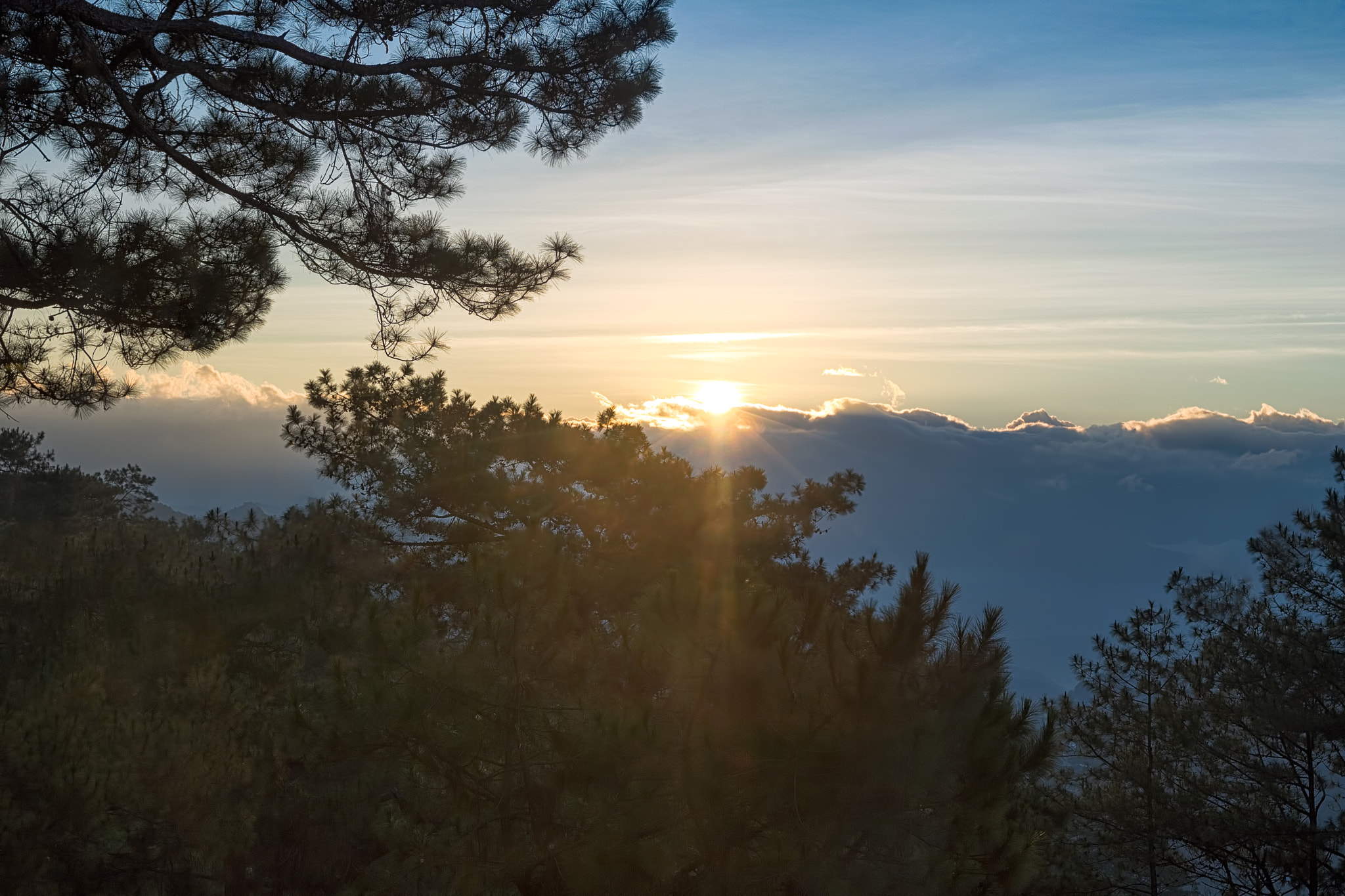 Canon EOS 760D (EOS Rebel T6s / EOS 8000D) sample photo. New beginning || baguio photography