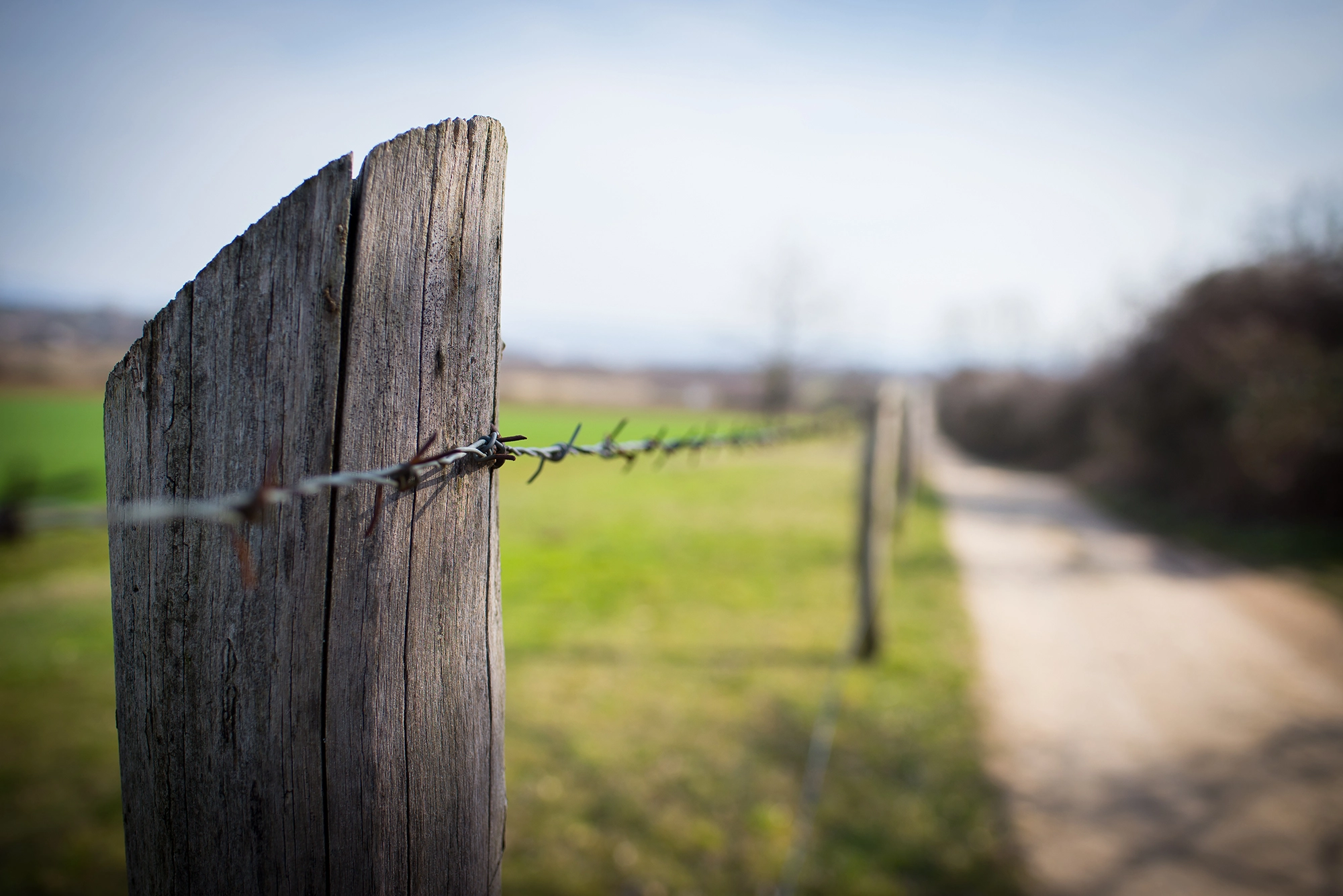 Nikon D610 + AF-S Nikkor 35mm f/1.8G sample photo. Barbed wire on the column photography