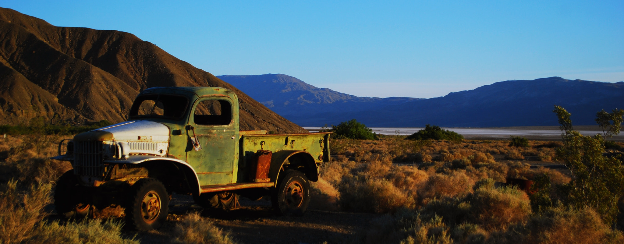 Nikon D40X sample photo. Survivor photography