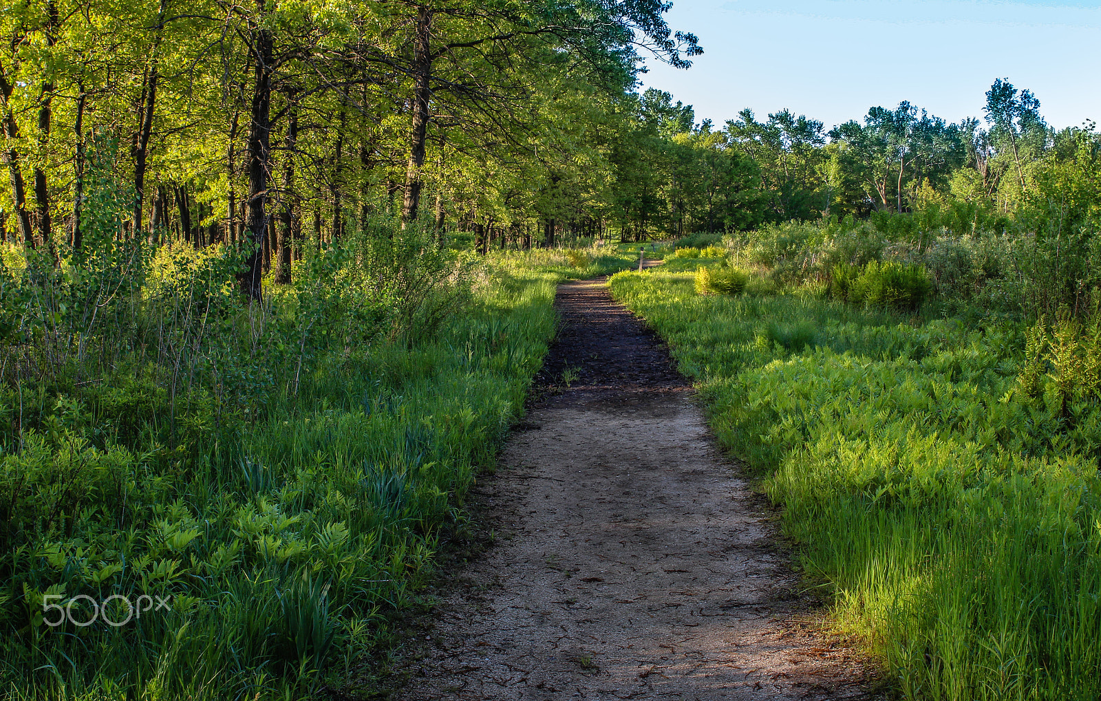 Sigma 24-70mm F2.8 EX DG Macro sample photo. Hoosier prairie path photography