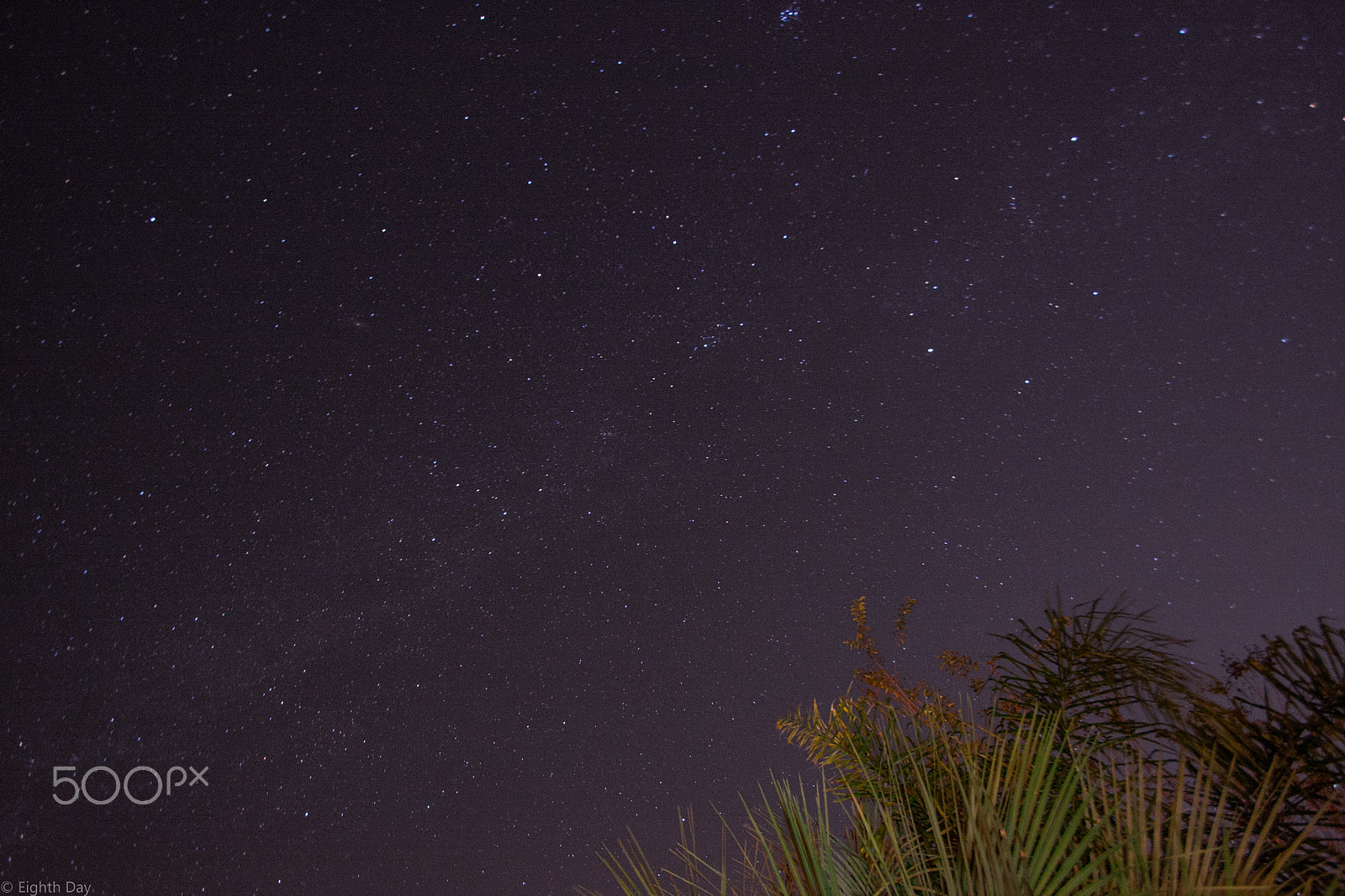 Sigma 10-20mm F3.5 EX DC HSM sample photo. Florida stars photography