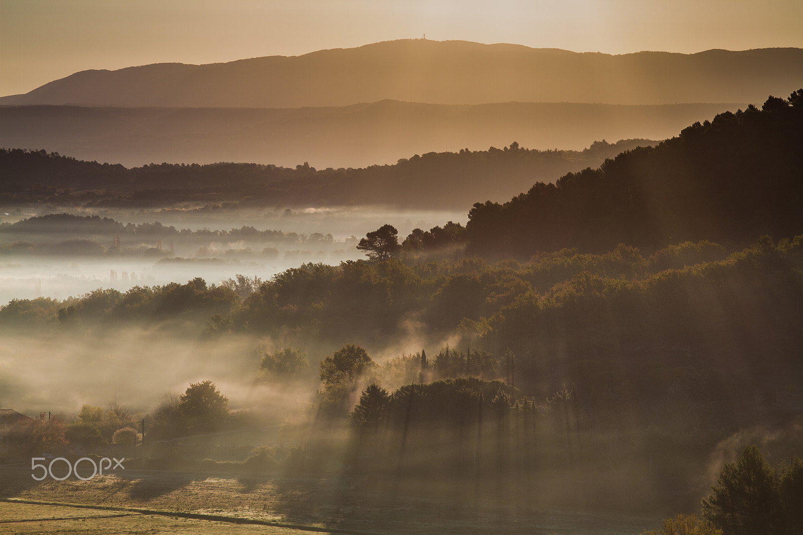Canon EOS 7D + Sigma 105mm F2.8 EX DG Macro sample photo. Morning mist and first rays of sun photography