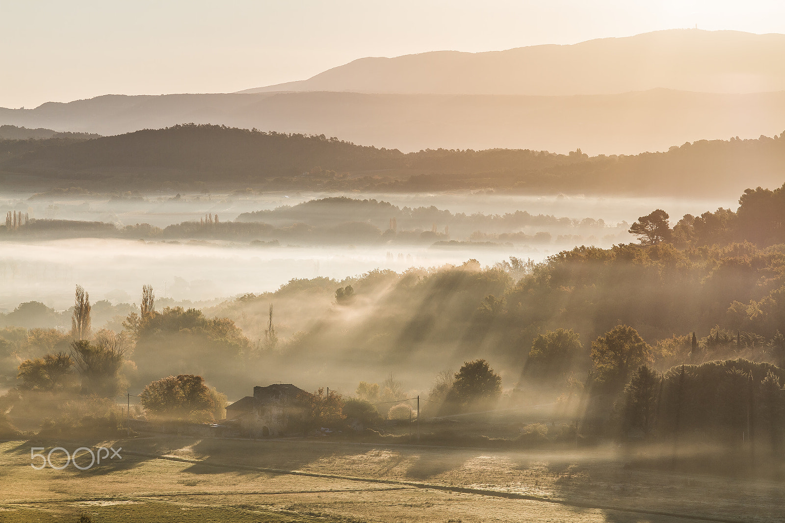 Canon EOS 7D + Sigma 105mm F2.8 EX DG Macro sample photo. Morning mist in the luberon photography