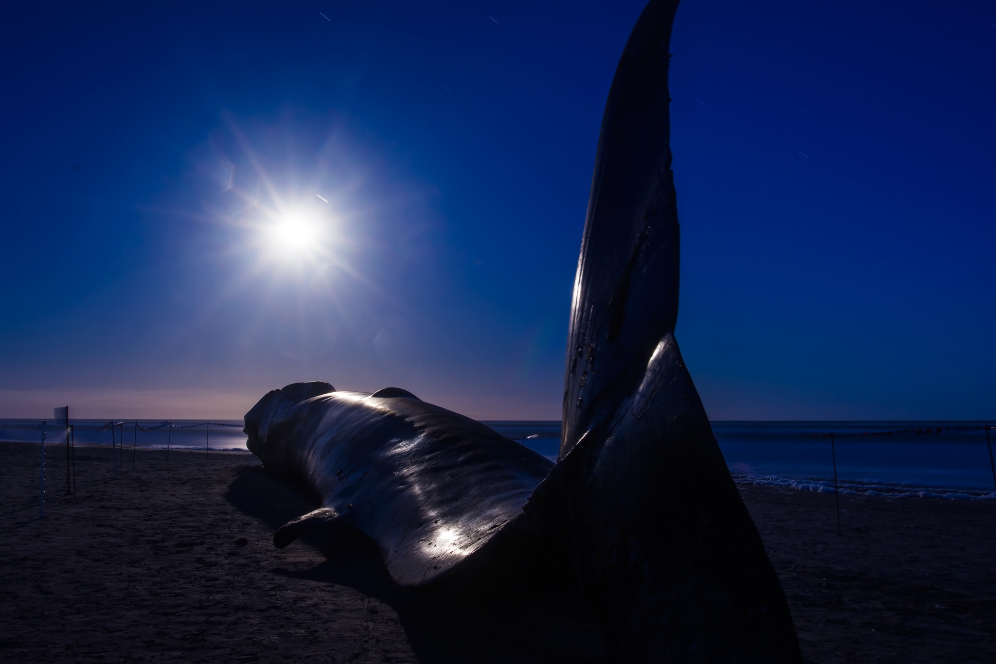 Nikon D7100 + Nikon AF-S Nikkor 20mm F1.8G ED sample photo. Lost and stranded photography