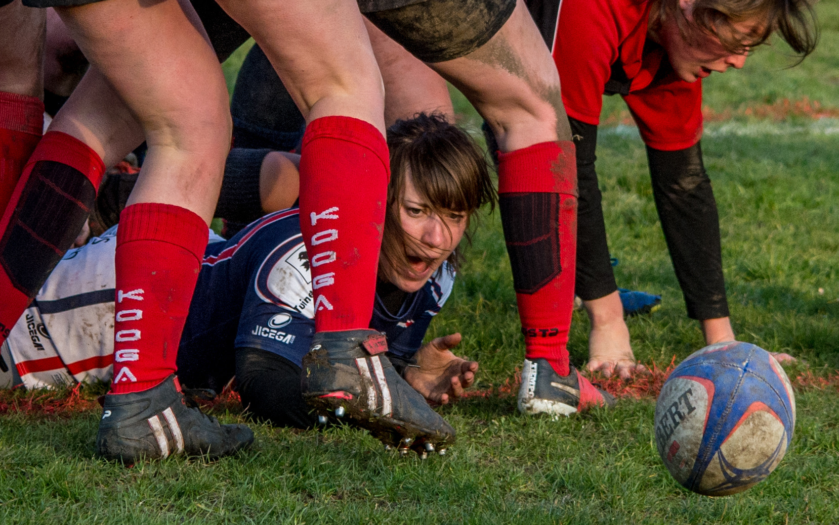 Sigma 150-500mm F5-6.3 DG OS HSM sample photo. Hey, there goes my ball! photography