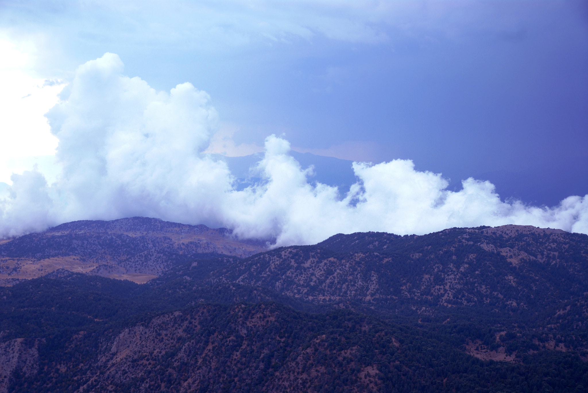 Nikon D200 sample photo. Foggy photography