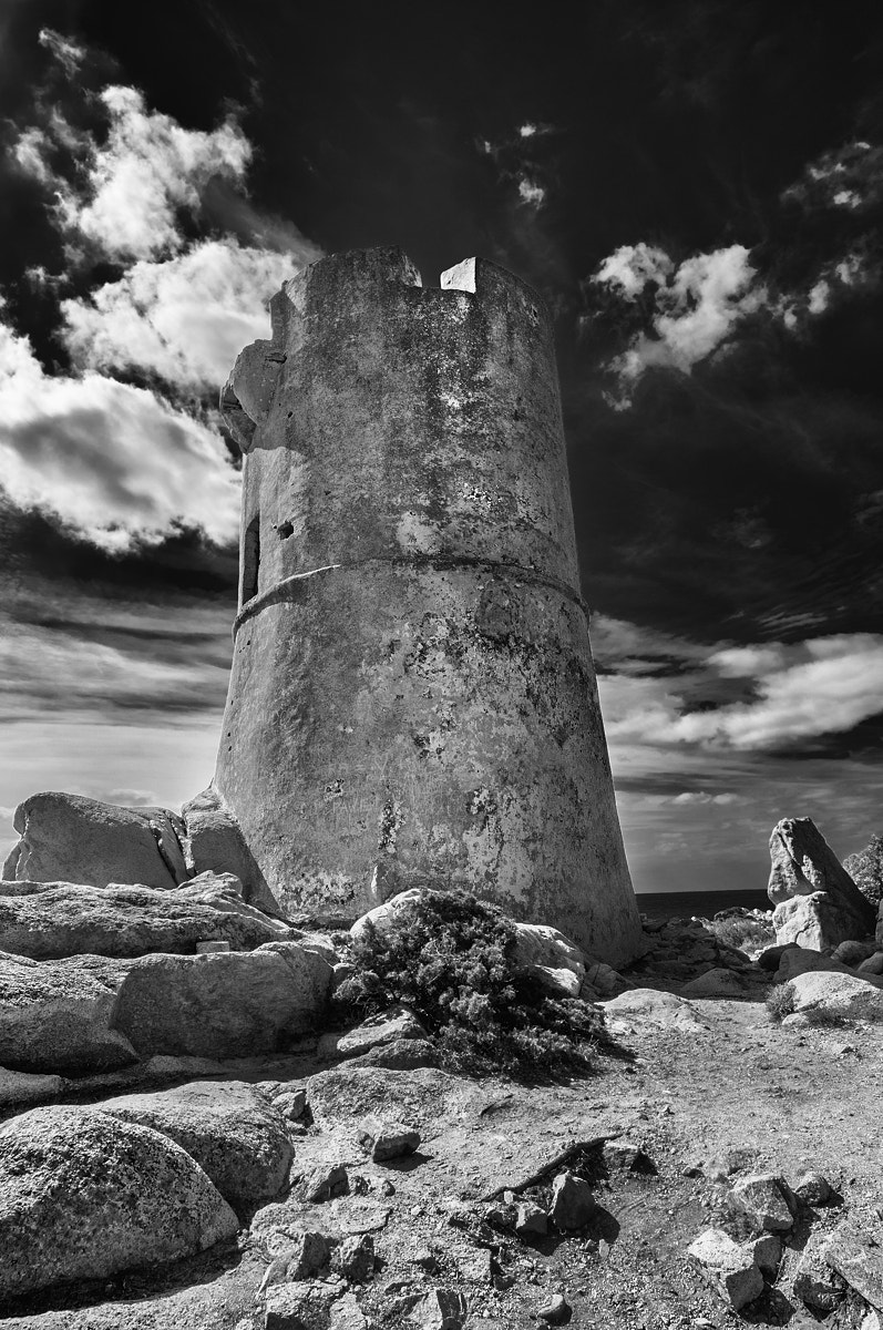 Sigma 8-16mm F4.5-5.6 DC HSM sample photo. Observer photography