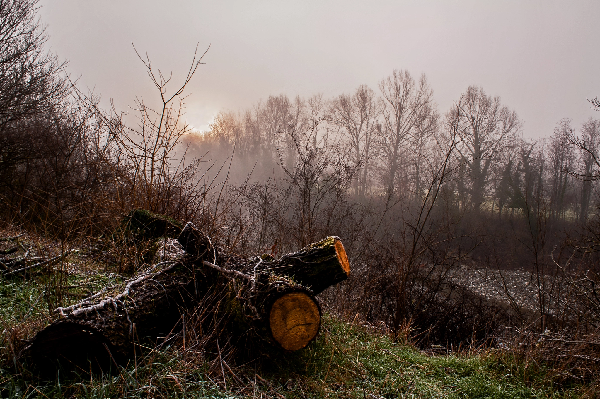 Nikon D700 + AF Nikkor 24mm f/2.8 sample photo. Early morning in winter photography