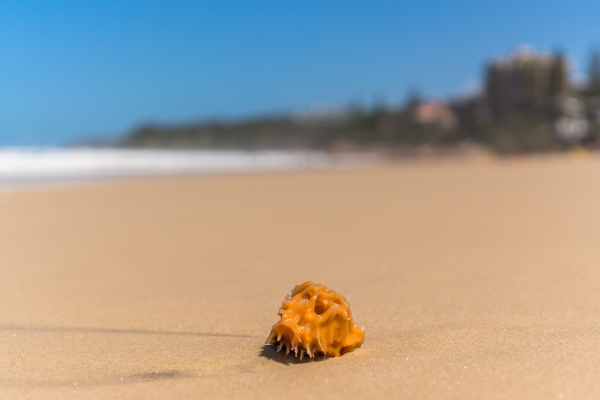 Sony ILCA-77M2 + Sony DT 35mm F1.8 SAM sample photo. On the beach photography