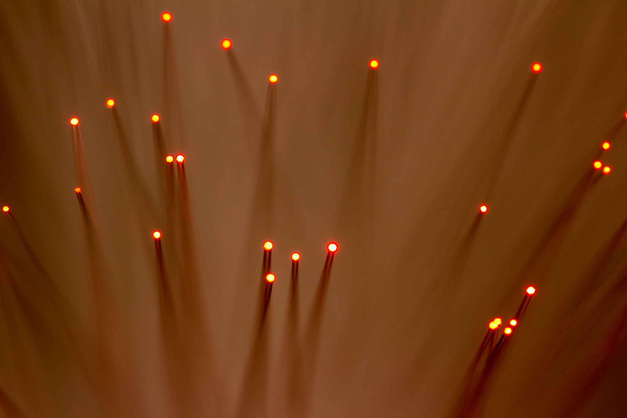 Sigma 105mm F2.8 EX DG OS HSM sample photo. Bokeh in the mist photography